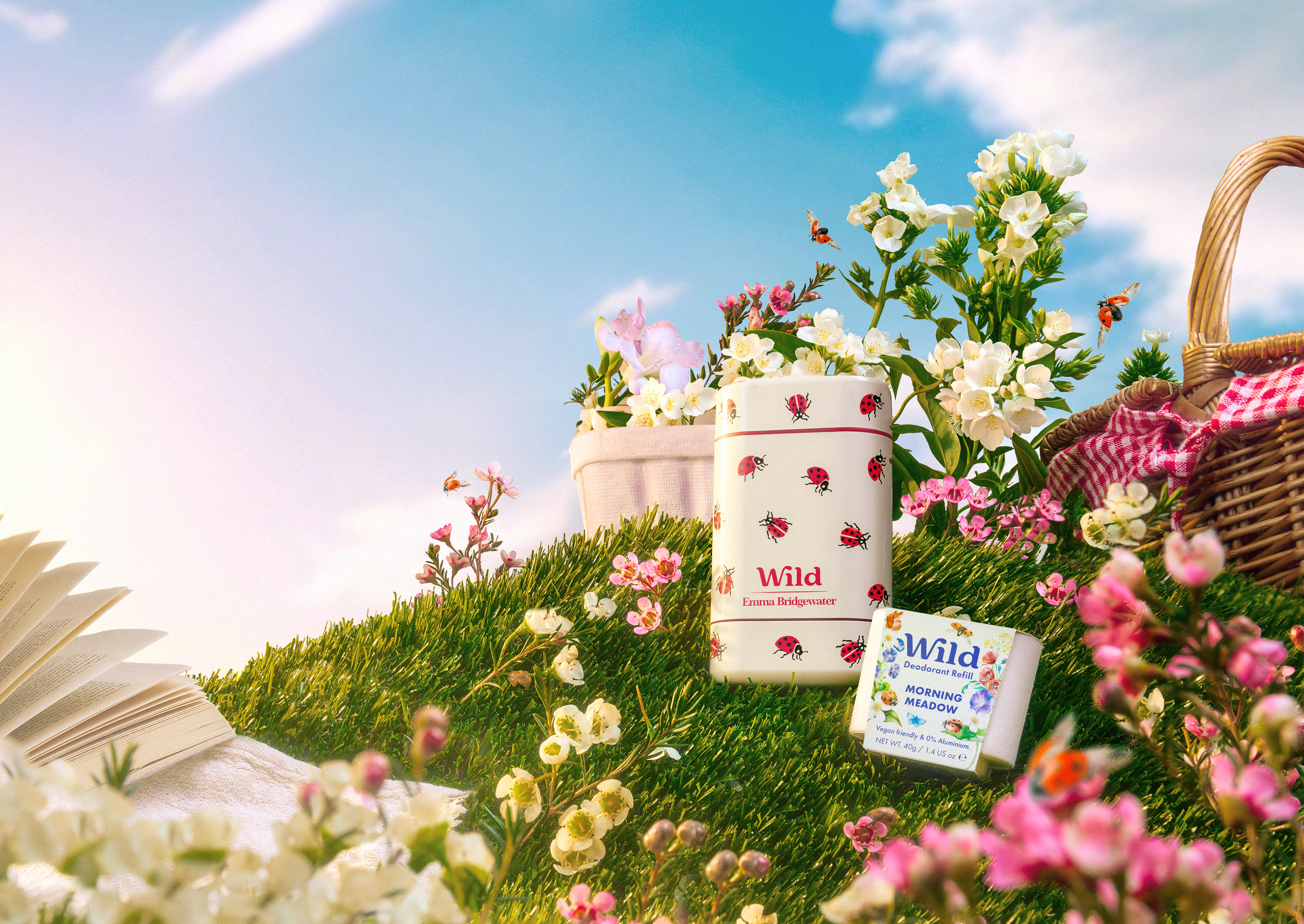 Caption: a field of flowers with a book and a basket