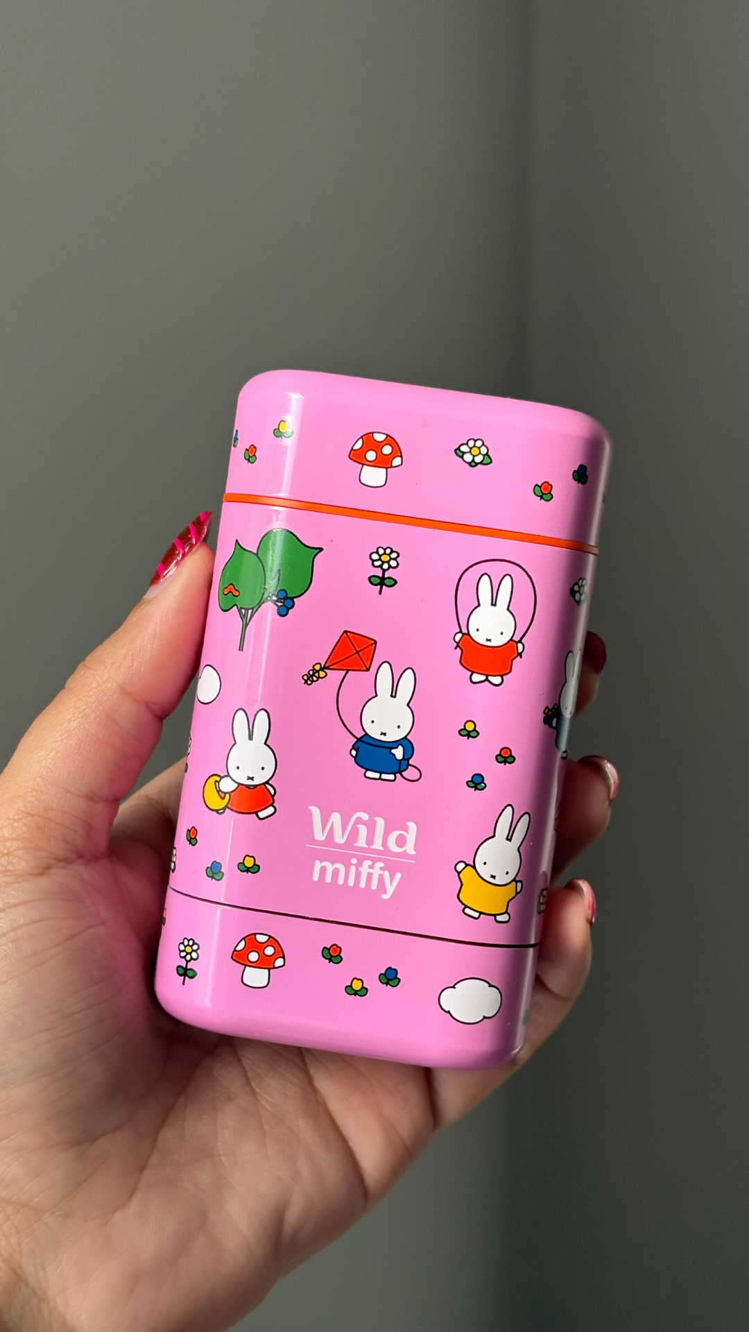 Caption: a person holding a pink case with cartoon characters on it