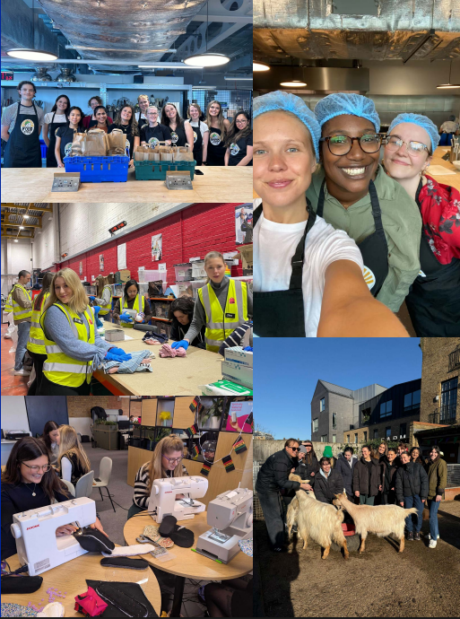 Caption: a collage of photos with people and animals