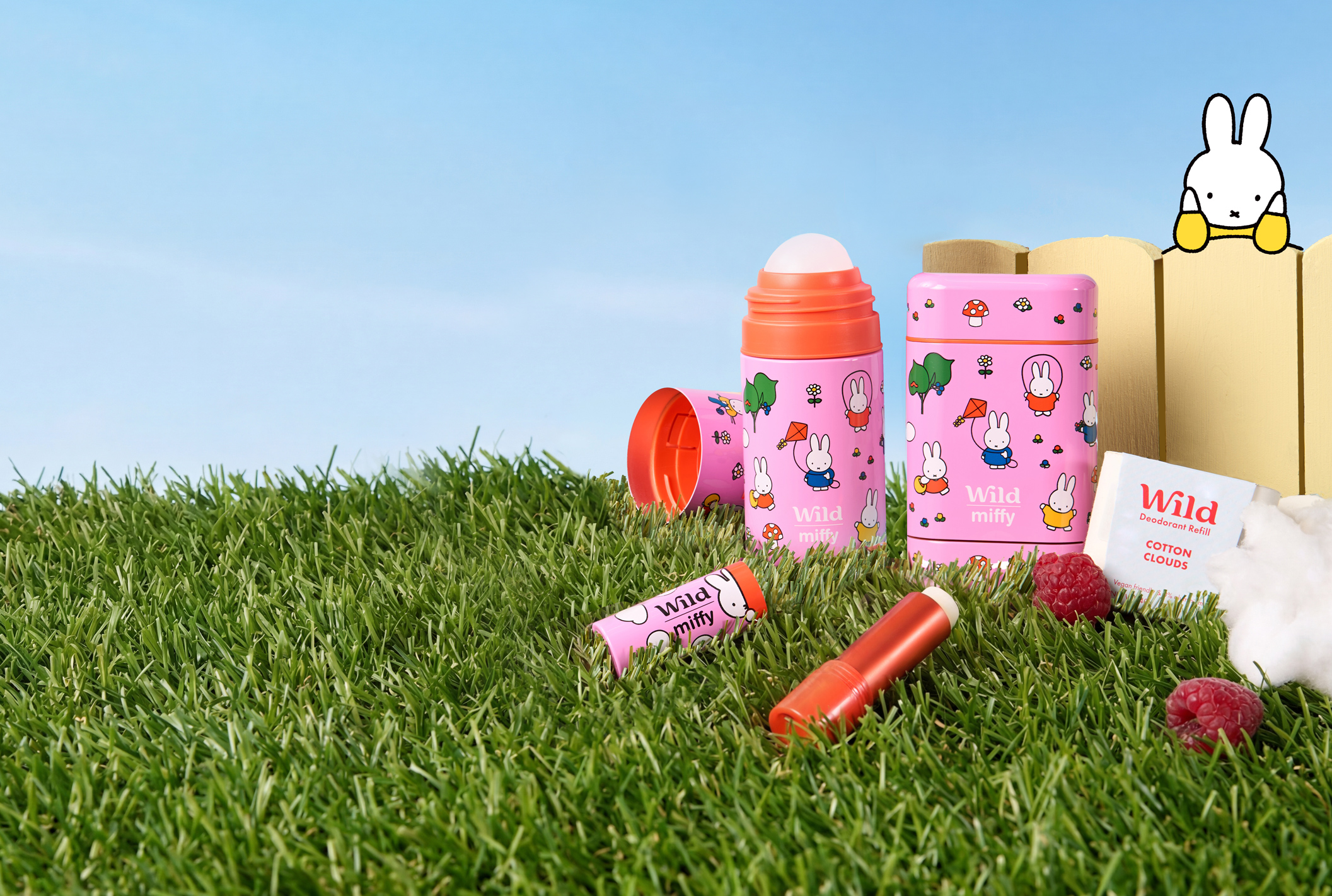 Caption: a bunch of items that are laying in the grass
