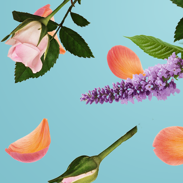 Caption: a bunch of flowers that are on a blue background