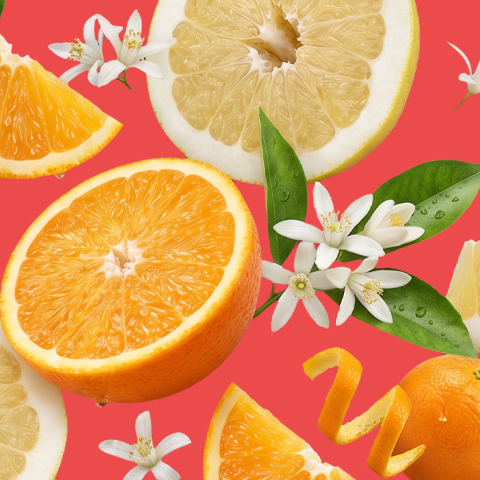 Bildunterschrift: Orangen, Zitronen und Blumen auf rosa Hintergrund