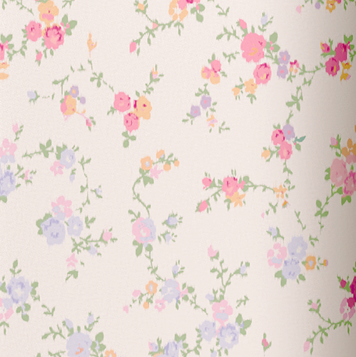 Caption: a white wall with a flower pattern on it