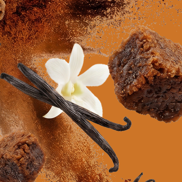 Caption: a piece of chocolate cake next to a vanilla flower