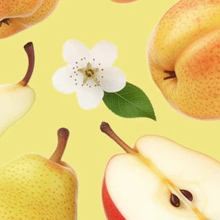 Caption: a group of apples and pears on a yellow background