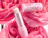 love shack rose heart lip balm on roses