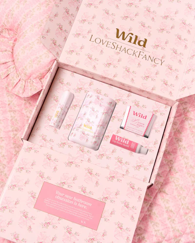 Caption: a pink box with a lot of different items inside of it