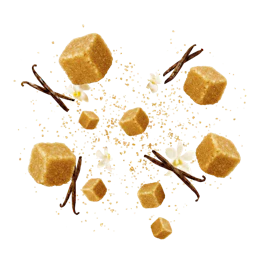 Caption: a group of pieces of food sitting on top of a white table