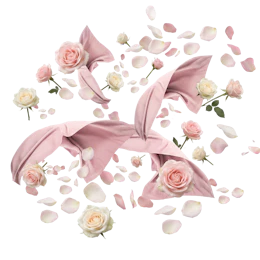 Cashmere Rose