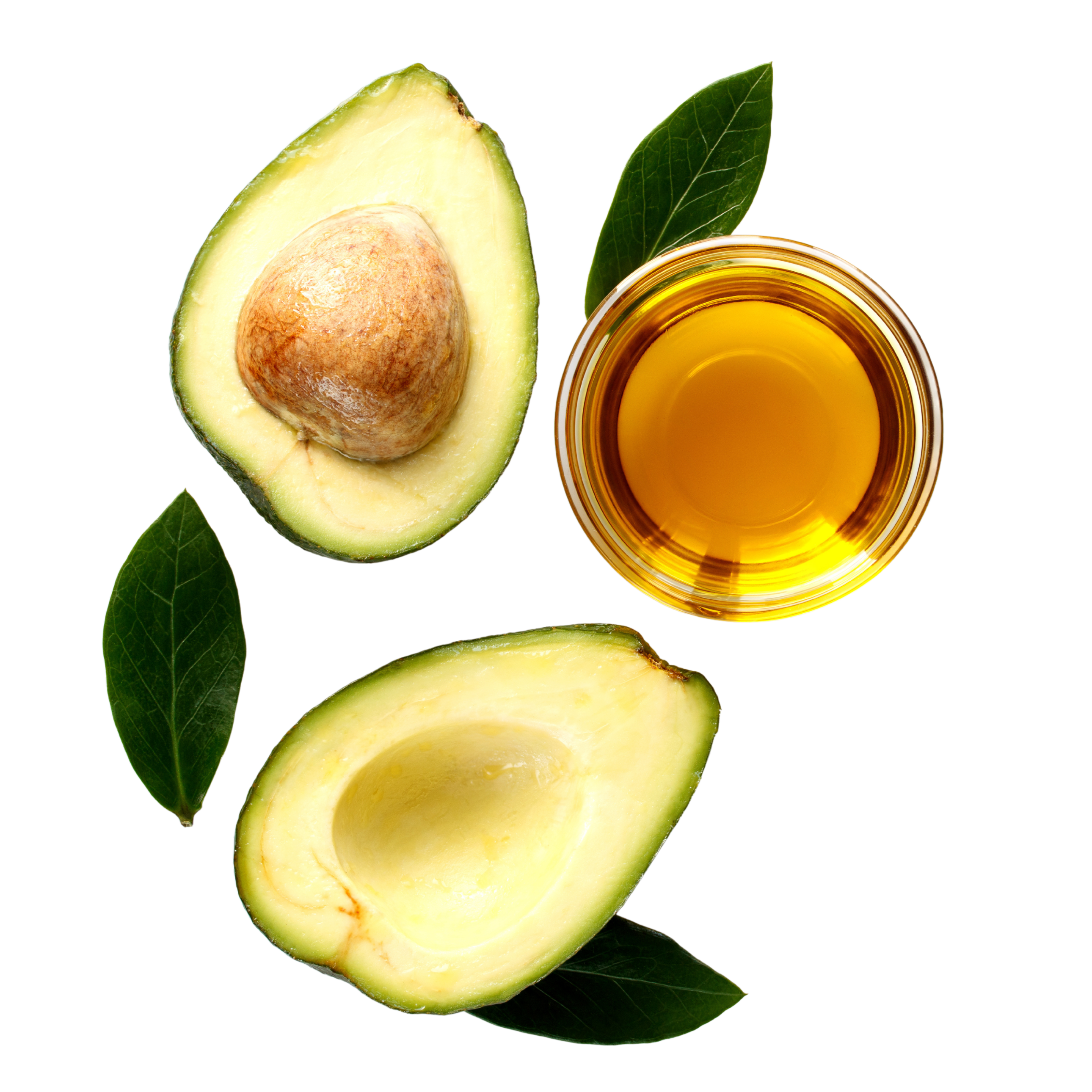 Avocado Oil