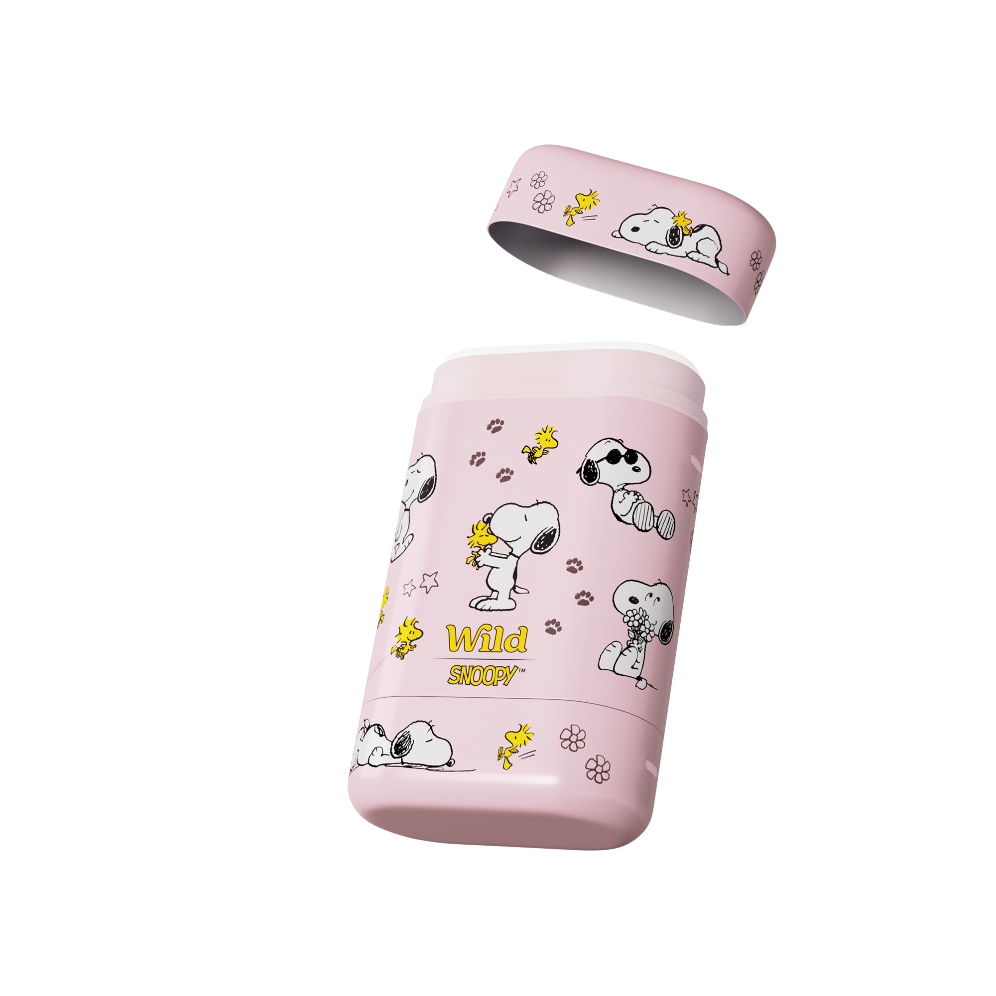 1 x Case